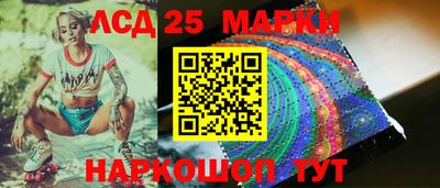 индика Новокубанск